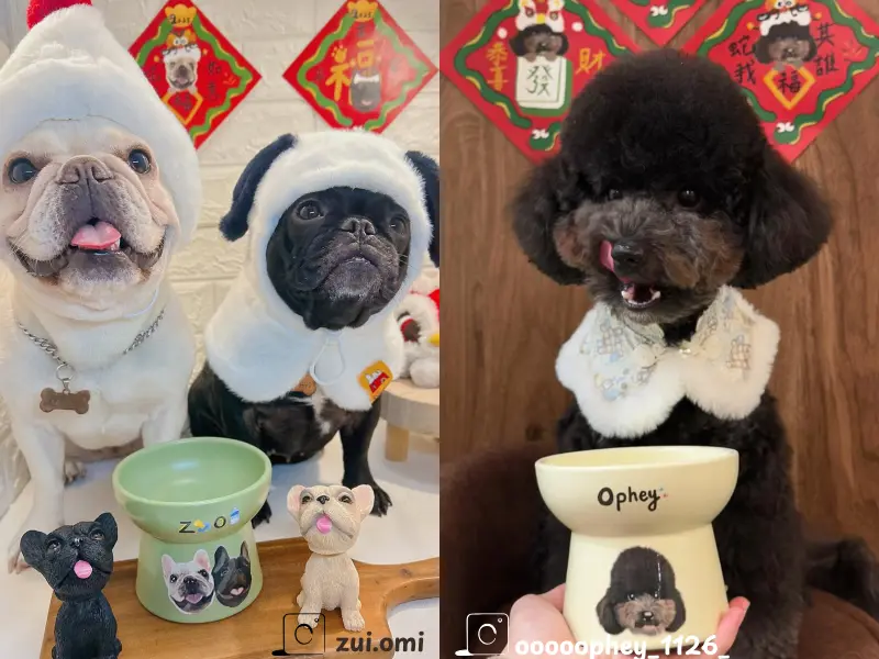 客製化寵物高腳碗