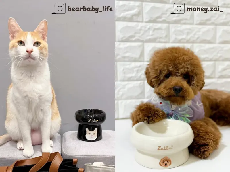 客製化寵物棉花糖泡泡碗