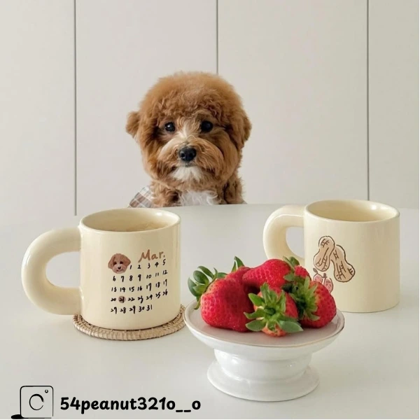 生日款 似顏繪馬克杯