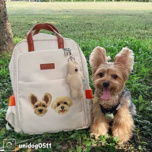 雙肩後背包（牛津布系列）