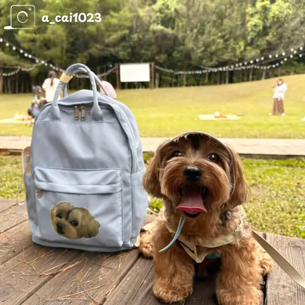 雙肩後背包（防刮布系列）